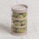 Pistachio Rahash in cylinder box
