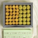 Large Box Mix Ghuraiba (Royal & pistachio)