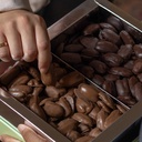Large Box Mix Pecan Chocolate