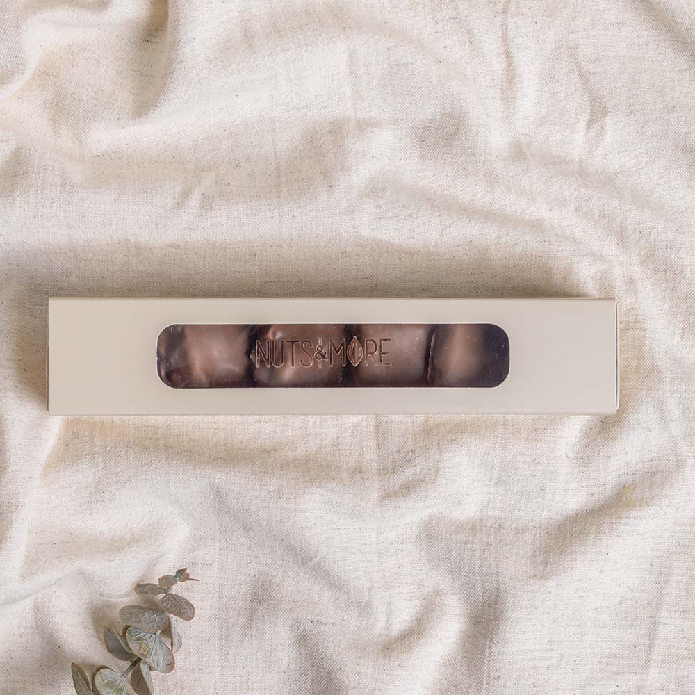 Pecan Turtle in Rectangle Box (90 GM)