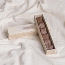 Pecan Turtle in Rectangle Box (90 GM)