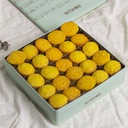 Gers ogaily in Large Metal Box (50 pcs)