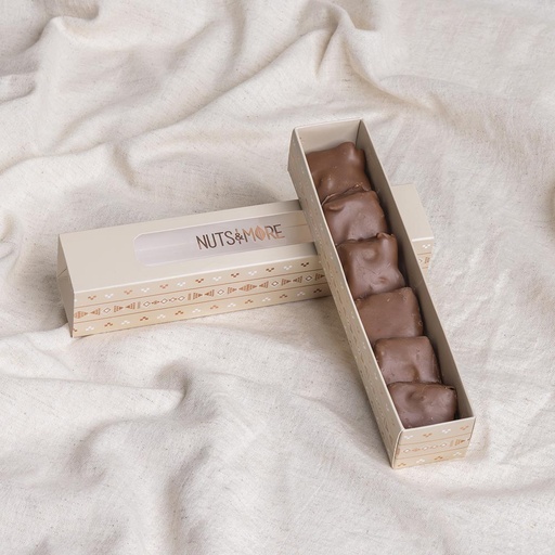 [1109] Pecan Turtle in Rectangle Box (90 GM)